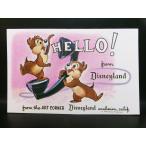 チップとデール Hello！ ディズニーランド ポストカード 絵はがき 1960年代 ヴィンテージ チップ & デール Disneyland Art Corner Chip & Dale