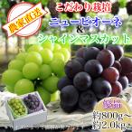 【ぶどう専門農家直送】こだわりのニューピオーネ&シャインマスカット 詰め合わせ 優品ランク お中元ギフト 葡萄 ぶどう フルーツ 果物