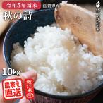 米 秋の詩 10kg 令和5年 米 お米 玄米 白米 精米無料 農家直送 近江米 滋賀県産 特別栽培米
