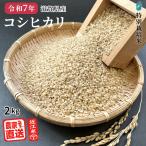  Koshihikari неочищенный рис 2kg 2025 год производство рис . мир 7 год . рис сельское хозяйство дом прямая поставка близко . рис Shiga префектура производство специальный культивирование рис 