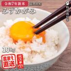 【予約販売】 2025年産新米 | 9月中旬収穫予定 みずかがみ 玄米 10kg 2025年産 米 令和7年 お米 精米無料 農家直送 近江米 滋賀県産 特別栽培米