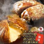 HIBARIのメシ友 福袋 ハンバーグ 食べ比べ 豪華 メガ盛り 2.2kg 2種セット (プレーン100g×12個、チーズイン100g×10個) 惣菜 お弁当 業務用 冷凍食品