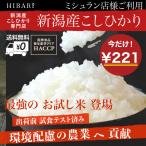 米 お米 ポイント消化 新潟産こしひかり 1合150g  お試し 令和4年産 新潟県産コシヒカリ HIBARI 白米 送料無料 ミシュラン店御用達 環境配慮プレミアム米 産直