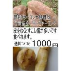 【２セット購入毎に＋2kg】奇跡の野菜　ポリフェノールたっぷり・フラクトオリゴ糖の塊！割れヤーコン１ｋｇ【生芋】、【10P19JAN15】【1000円】【コ