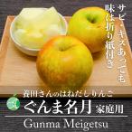 養田さんのはねだしりんご　ぐんま名月　サビ・キズあり　家庭用　約3kg　7〜12玉　長野県志賀高原産