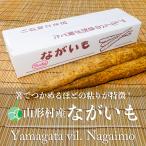 山形村産ながいも　長芋　やまいも　2-3L　約10Kg　長野県山形村産　ご当地ギフト　贈り物　プレゼント