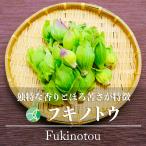 fkinotou Fuki no Tou дикоросы натуральный предмет примерно 100g Nagano * Niigata префектура производство 