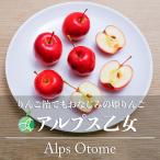 ショッピングりんご アルプス乙女　姫りんご　家庭用　約1kg　20-40玉　長野県産　林檎　調理用　製菓用　お菓子作り　りんご飴　コンポート　ジャム　果実酒