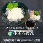 送料無料 長野県・須坂の生そうめん 5袋 10食 セット 甘みがありモチモチツルツルの生麺