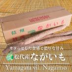  сосна плата производство .... китайский ямс 2-3L примерно 10Kg Nagano префектура Nagano город сосна плата производство . данный земля подарок подарок подарок 