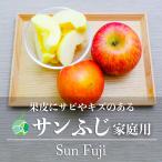 サビ・キズあり　サンふじ　りんご　家庭用　約5kg　10-18玉　長野県産　フルーツ　自家用　林檎　調理　加工　製菓　ジャム　アップルパイ