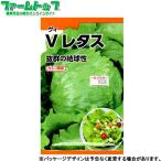  Япония сельское хозяйство производство овощи. вид / семена lettuce V lettuce внутри емкость 2ml примерно 990 шарик вид ( возможность слежения талант почтовая доставка отправка единый по всей стране 370 иен )15160