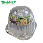 DAIM рассада купол маленький 5P диаметр примерно 30cm высота примерно 22cm