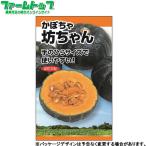  Япония сельское хозяйство производство овощи. вид / семена юг . тыква . Chan внутри емкость примерно 5 шарик вид ( возможность слежения талант почтовая доставка отправка единый по всей стране 370 иен )17740