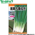  Япония сельское хозяйство производство овощи. вид / семена лук порей . желтый 9 статья лук порей внутри емкость 7ml вид ( возможность слежения талант почтовая доставка отправка единый по всей стране 370 иен )14980
