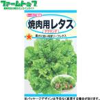 トーホク　野菜の種/�