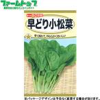 トーホク　野菜の種/種子　小松菜　早どり小松菜　内