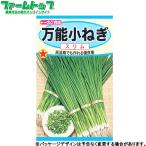 トーホク　野菜の種/種子　ねぎ　万能小ねぎ　内容量7