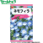 to- ho k цветок. вид / семена немофила внутри емкость 0.6ml вид ( возможность слежения талант почтовая доставка отправка единый по всей стране 370 иен )01000