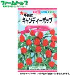to- ho k цветок. вид / семена тысяч день . сладости - pop внутри емкость 0.8ml вид ( возможность слежения талант почтовая доставка отправка единый по всей стране 370 иен )04369