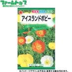 to- ho k цветок. вид / семена лёд Land мак внутри емкость 0.1ml вид ( возможность слежения талант почтовая доставка отправка единый по всей стране 370 иен )09534