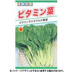 to- ho k овощи. вид / семена присоединение . витамин . внутри емкость 10ml вид ( возможность слежения талант почтовая доставка отправка единый по всей стране 370 иен )05286