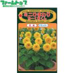 to- ho k цветок. вид / семена подсолнух Mini подсолнух .-.. kun внутри емкость 3ml вид ( возможность слежения талант почтовая доставка отправка единый по всей стране 370 иен )04384