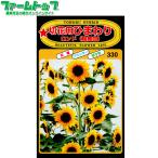 to- ho k цветок. вид / семена подсолнух срезанный цветок для подсолнух long do( колесо танцевальная музыка ) внутри емкость 2ml вид ( возможность слежения талант почтовая доставка отправка единый по всей стране 370 иен )04335
