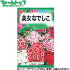 to- ho k цветок. вид / семена прекрасный женщина .... внутри емкость 1ml вид ( возможность слежения талант почтовая доставка отправка единый по всей стране 370 иен )00305