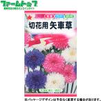 to- ho k цветок. вид / семена срезанный цветок для стрела машина . внутри емкость 2ml вид ( возможность слежения талант почтовая доставка отправка единый по всей стране 370 иен )00214