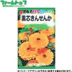to- ho k цветок. вид / семена чёрный сердцевина ..... внутри емкость 3ml вид ( возможность слежения талант почтовая доставка отправка единый по всей стране 370 иен )00252