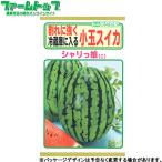 to- ho k овощи. вид / семена ... трещина . сильно рефрижератор . входить . маленький шар арбуз внутри емкость 0.8ml вид ( возможность слежения талант почтовая доставка отправка единый по всей стране 370 иен )04660