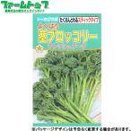 to- ho k овощи. вид / семена брокколи хорошо .. стебель брокколи свежий букет внутри емкость 1ml вид ( возможность слежения талант почтовая доставка отправка единый по всей стране 370 иен )03546
