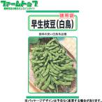 to- ho k овощи. вид / семена ветка бобы добродетель для пакет . сырой ветка бобы ( лебедь ) внутри емкость 65ml вид ( возможность слежения талант почтовая доставка отправка единый по всей стране 370 иен )01586