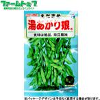ウタネ　野菜の種/種子　枝豆　湯あがり娘　内容量20ml　種　（追跡可能メール便発送　全国一律370円）38285　　
