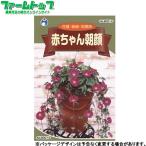 utane цветок. вид / семена .... младенец утро лицо внутри емкость 0.5ml вид ( возможность слежения талант почтовая доставка отправка единый по всей стране 370 иен )90014