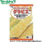 ウタネ　野菜の種/種子　とうもろ�