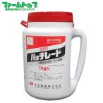 殺菌剤 バッチレート　1kg　塗布用ハケ1本付き