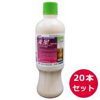 ����ѽ���ޡ�ή���ե����֥�500�����20�ܥ��å�