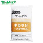 景観　緑肥　シロガラシ　キカラシ/メテックス　菜の花　種　1kg