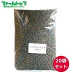 緑肥　ヘアリーベッチ　ナモイ　種　1ｋｇ×20袋セット
