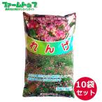 【1kg/1417円】れんげの種 花の種 種子 レンゲ草 レンゲの種 花の種 れんげ種 1ｋｇ 10袋セット