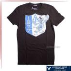アメリカンイーグル Tシャツ メンズ ブランド 半袖 20代 30代 40代 AMERICAN EAGLE 半そで カジュアル アメカジ ヴィンテージ ブランド おしゃれ 0162