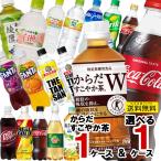 ショッピング炭酸水 500ml 48本 送料無料 送料無料 ペットボトル からだすこやか茶 350ml 1ケース と よりどり 500ml 1ケース 計48本 コカコーラ アクエリアス ファンタ 綾鷹 お茶 水 炭酸水 いろはす