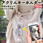  бесплатная доставка my pet брелок для ключа 15cm оригинал акрил брелок для ключа домашнее животное ak ключ собака кошка кошка ... День матери День отца память подарок 