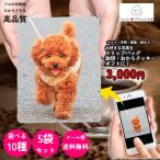 ドリップコーヒー 3包 おからクッキー ギフトセット 写真 おしゃれ 誕生日 ギフト 珈琲 父の日 母の日 記念品 プレゼント 赤ちゃん 敬老の日 プチギフト