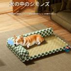  собака для кушетка bed постельный уход домашнее животное bed собака bed собака для bed L знак type низкий пол предотвращение скольжения есть пол смещение .... body давление минут ... разместить на кусание привычка крепкий ...papi