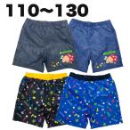 PIKMIN ピクミン チャッピー 水着 サーフパンツ 海水パンツ 子供 こども キッズ 男の子 110 120 130 ゲーム キャラクター グッズ【2点までメール便可】