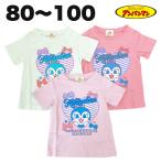 アンパンマンコキンちゃんAライン半...