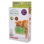 kya чай man ....... кошка. сырой овощи вид . земля [trmt]